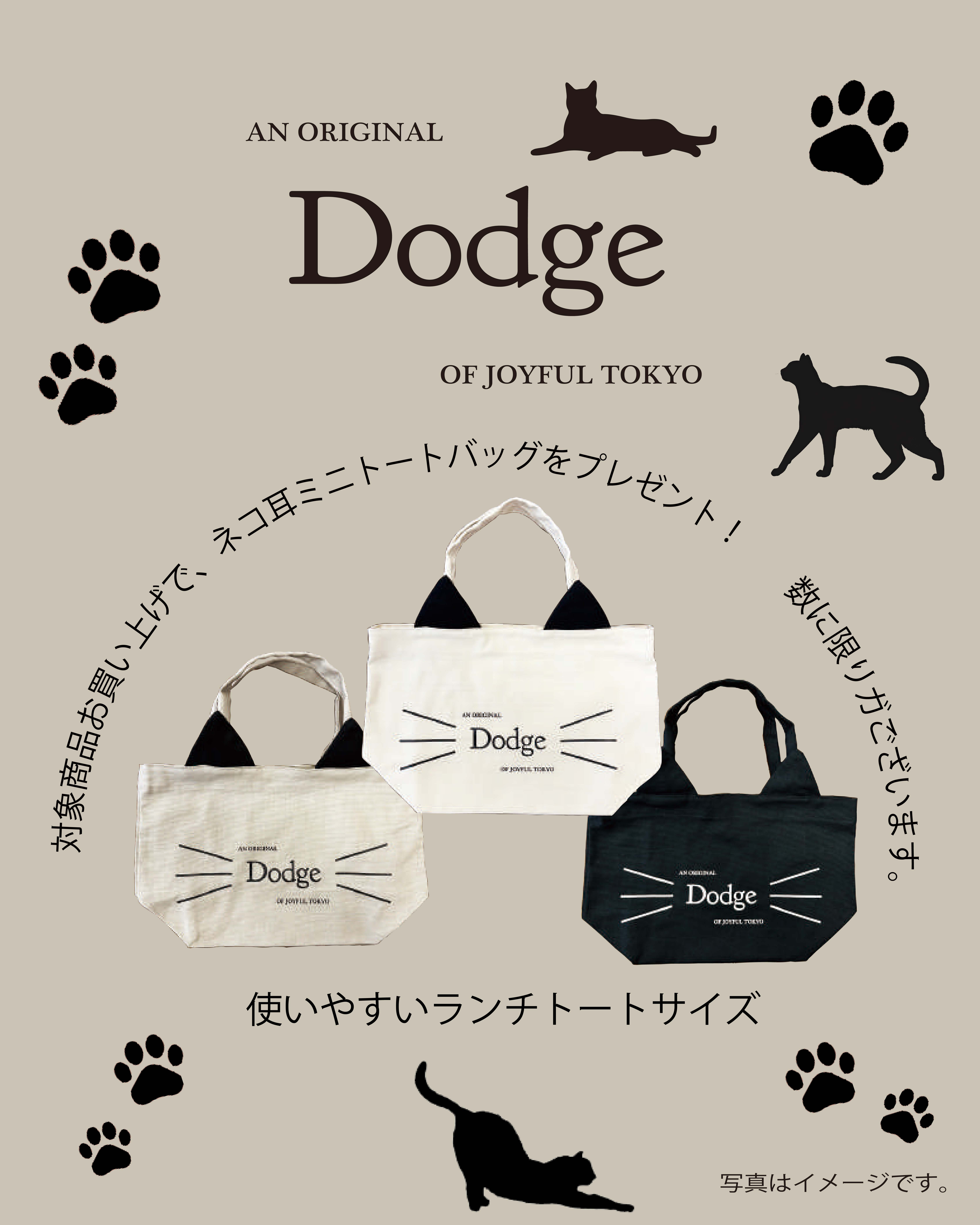 水戸京成Dodge