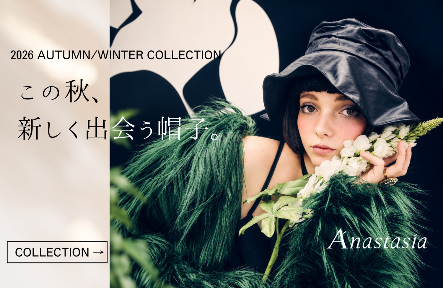 Anastasia collection